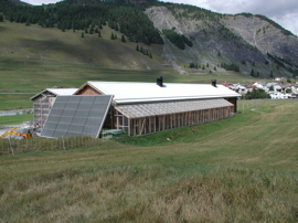 Stall_Sommer